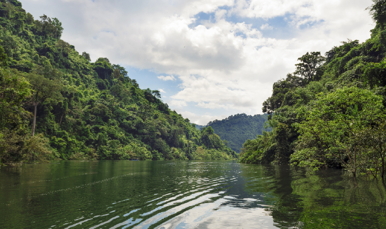 Maestría en Control de Enfermedades Infecciosas y Tropicales