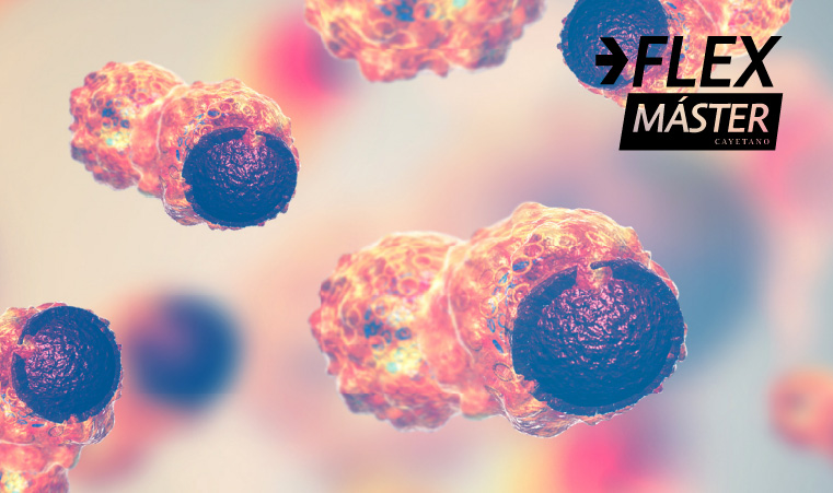 Maestría en Docencia e Investigación Oncológica