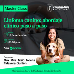 Linfoma canino: abordaje clínico paso a paso