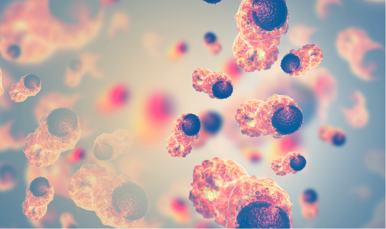 Maestr&iacute;a en Docencia e Investigaci&oacute;n Oncol&oacute;gica