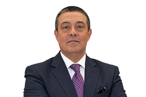 FERNANDO PEREZ ARGUEDAS